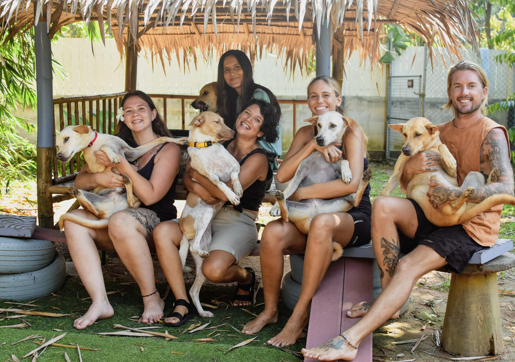 Gap year pros and cons: four volunteer girls and a guy holding dogs of a rescue center