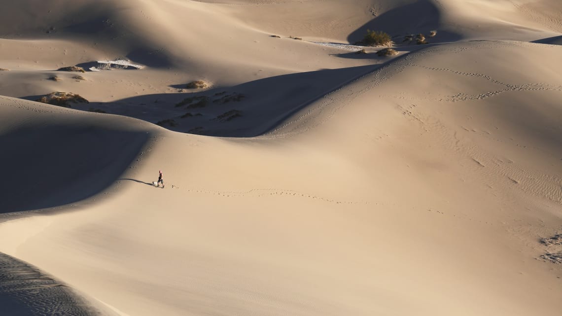 Solo traveler wandering in the desert