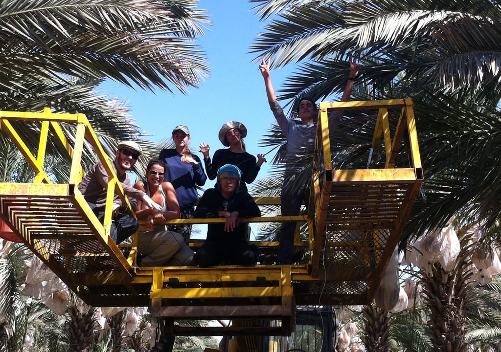 Fazenda orgânica em Israel para trabalho voluntário pelo mundo