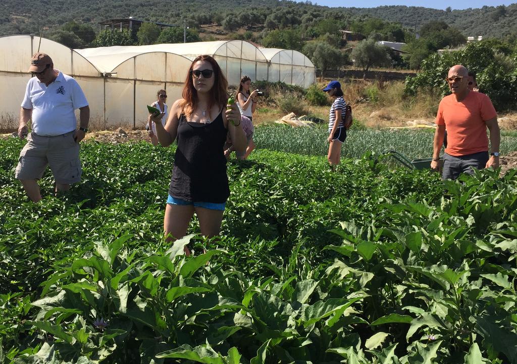 Viajantes em fazenda orgânica