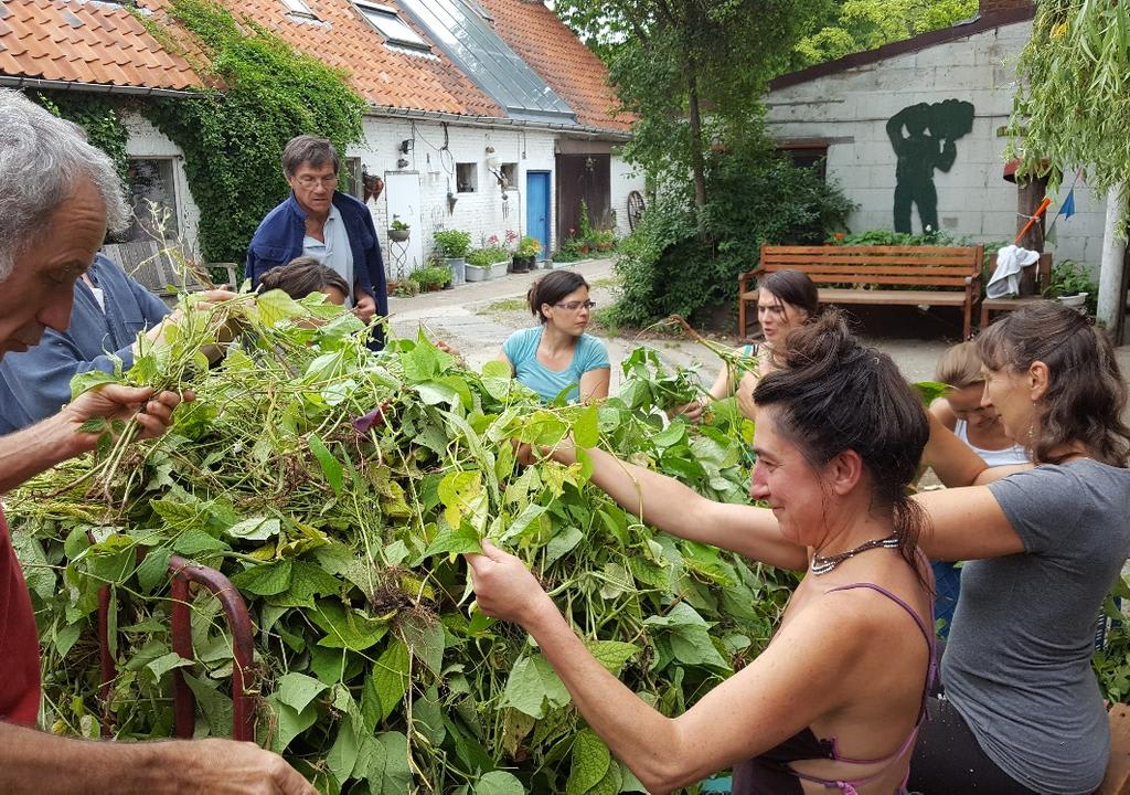 Como Hacer Voluntariado En Granjas Organicas De Todo El Mundo