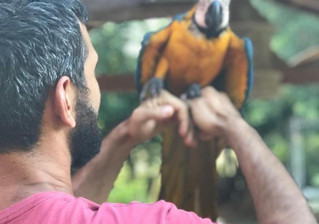 Cuide de animais e plantas em Serra Negra