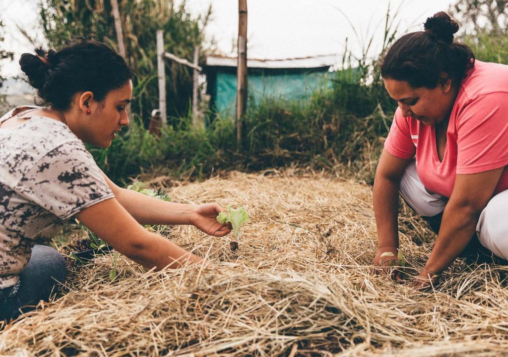 Turismo ecologico na Colombia
