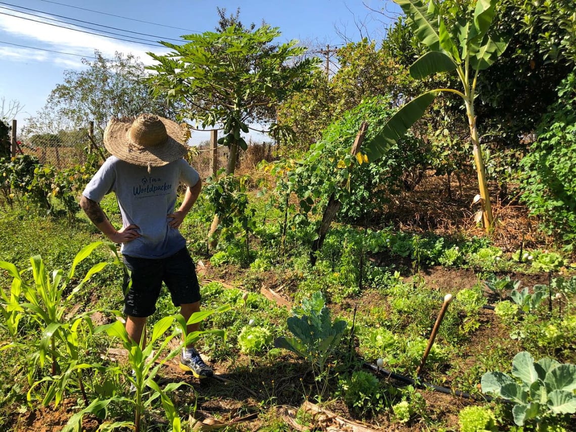 Experiência de permacultura em Indaiatuba promovida pela equipe da Worldpackers