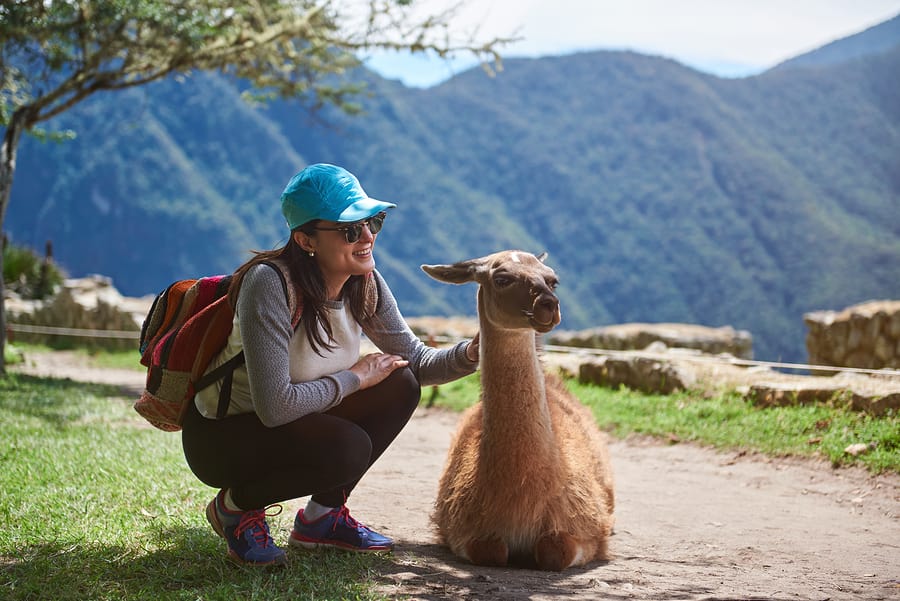 Viajando por Sudamérica con menos de 5 dólares por día - worldpackers - viajera en sudamérica con llama