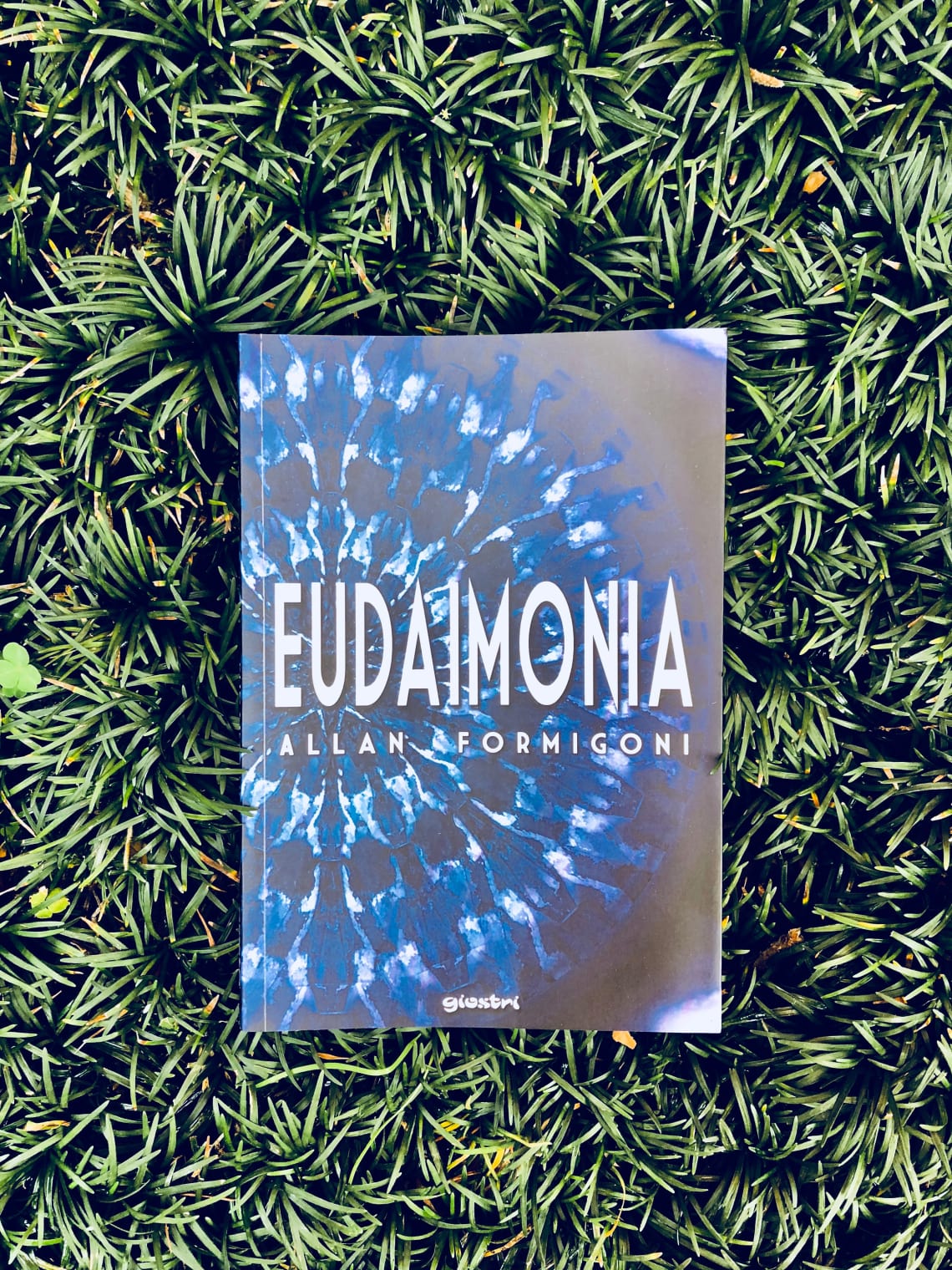 Eudaimonia, Allan Formigoni