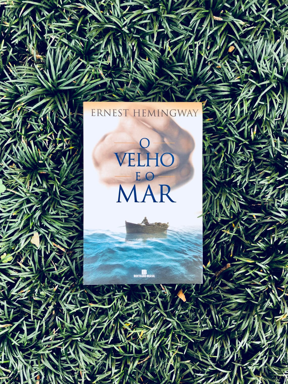 O velho e o mar, Hemingway