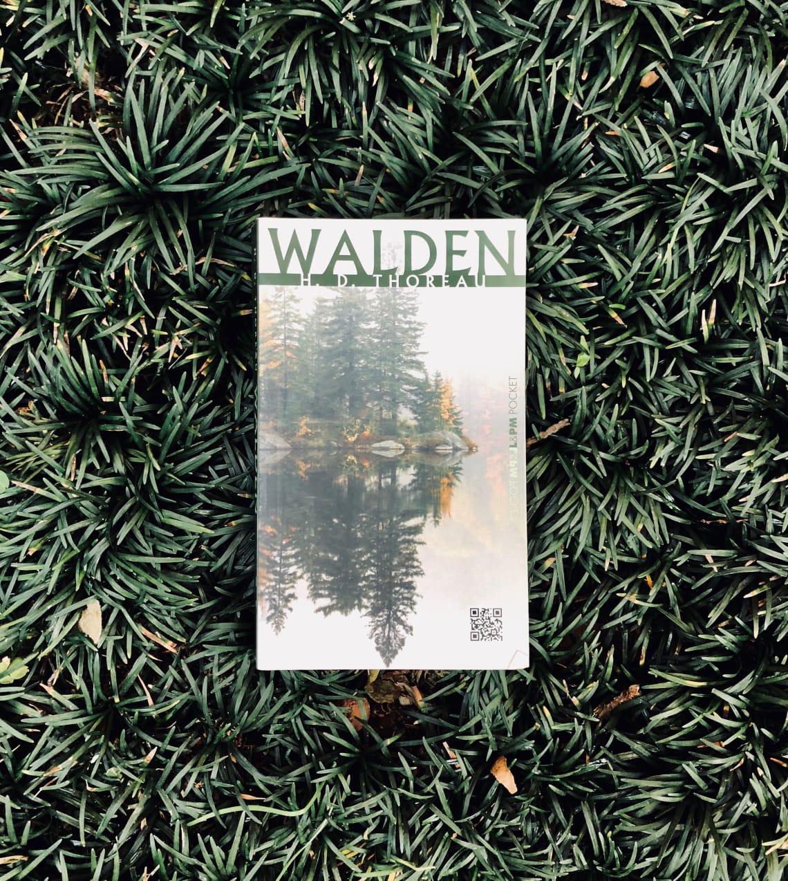 Walden, henry david thoreau