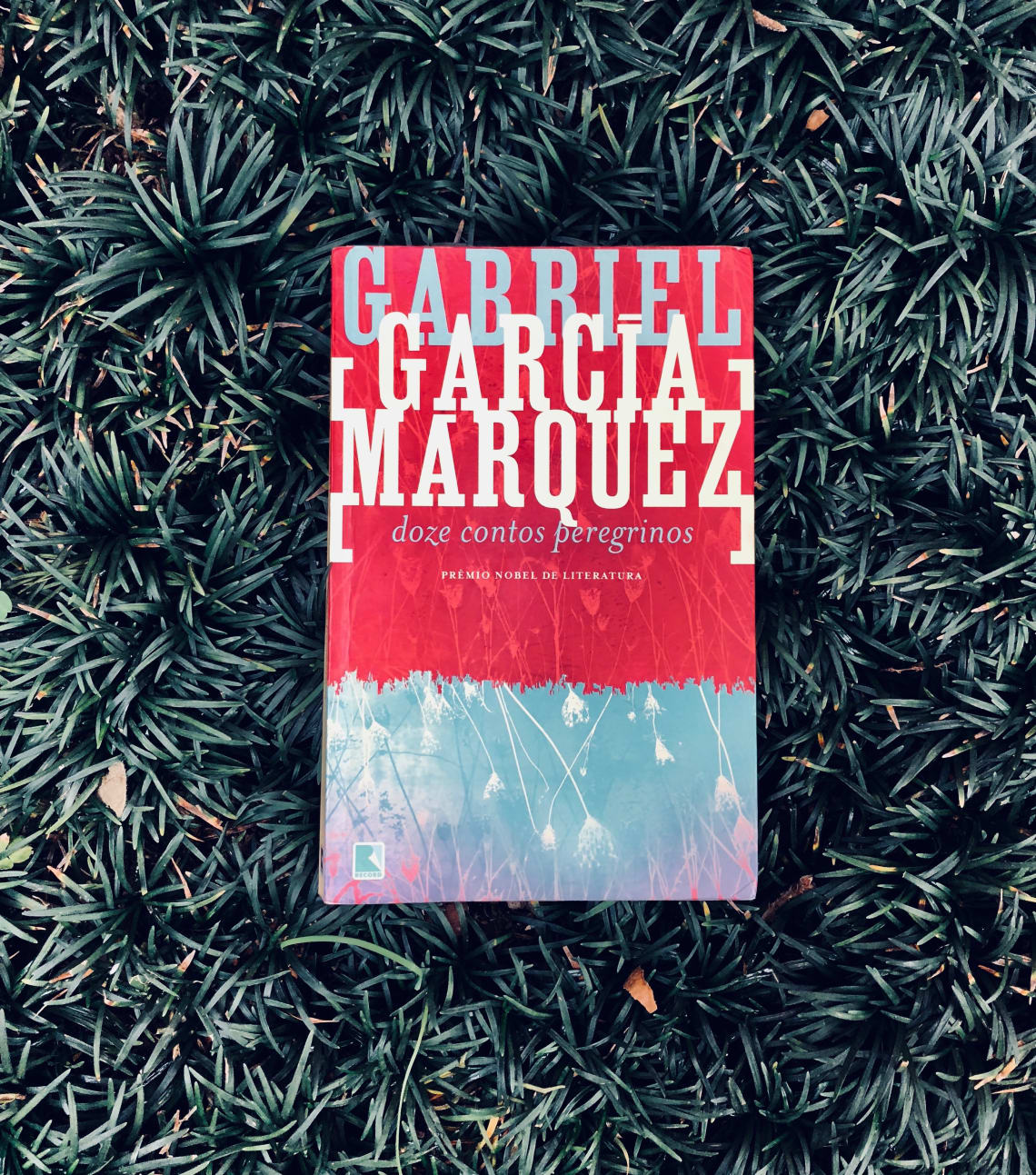 doze contos peregrinos, Gabriel Garcia Marques