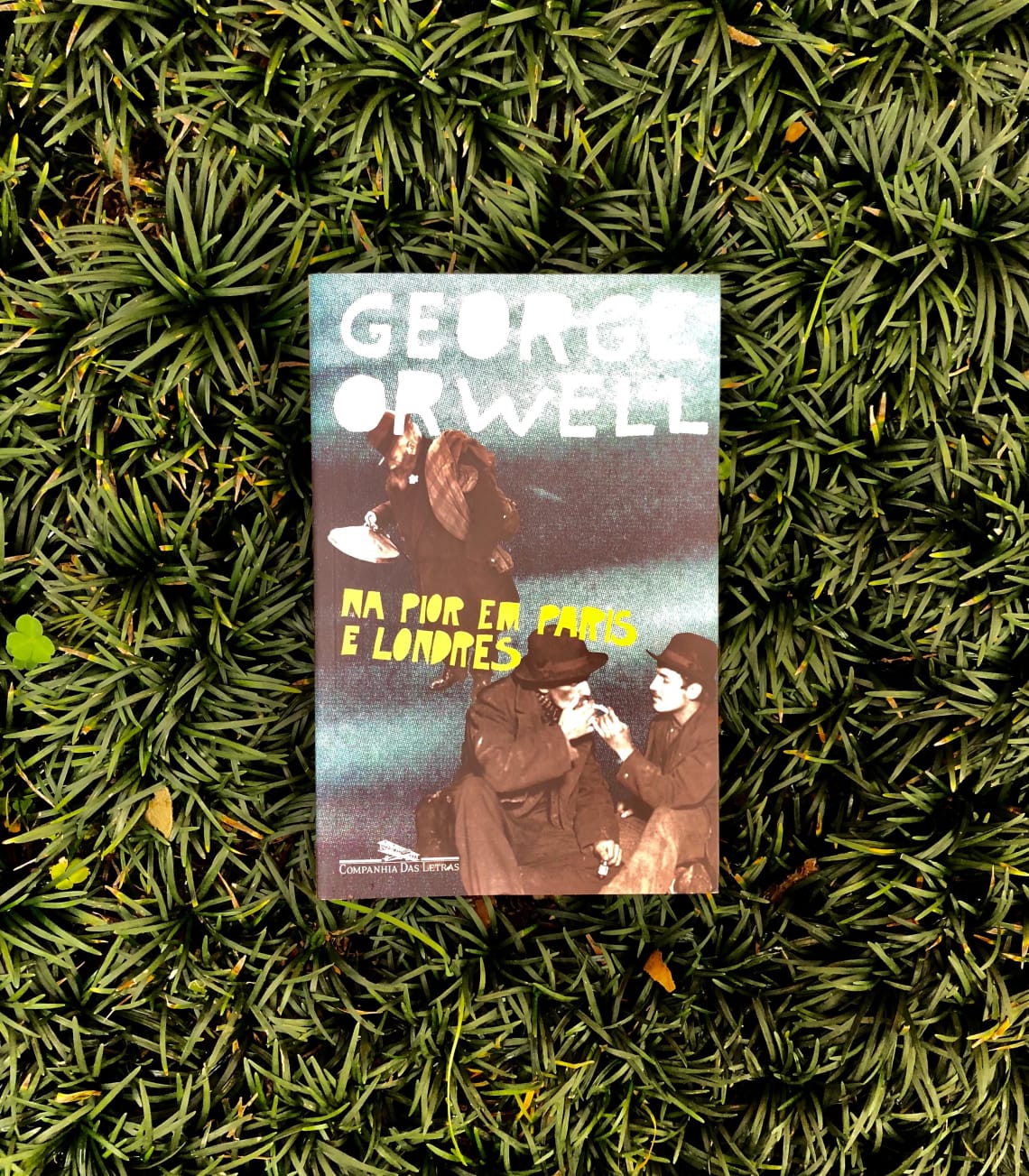 Na pior em paris e londres, George Orwell