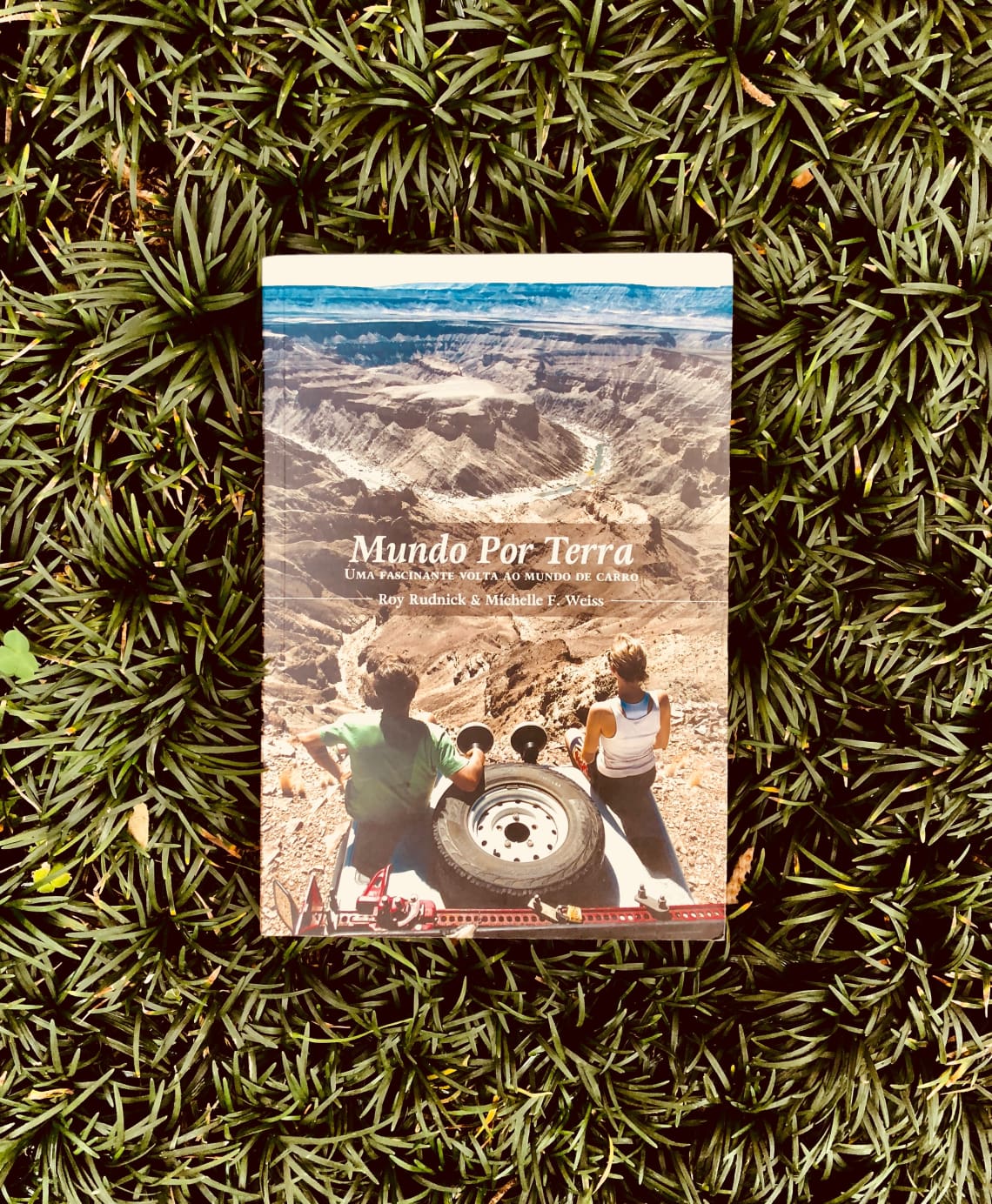 livro Mundo por terra