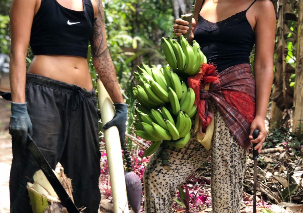 two volunteers with a bunch of bananas