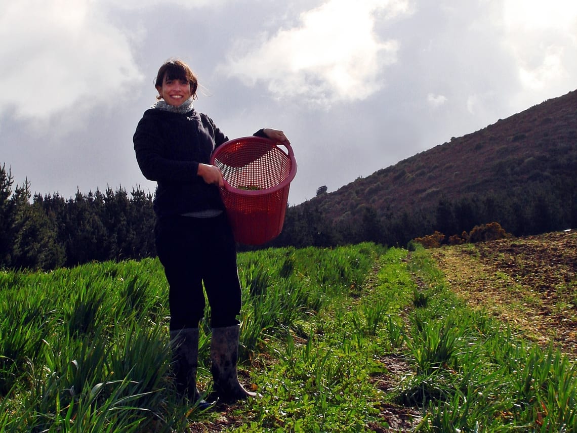 voluntariado en proyectos ecológicos