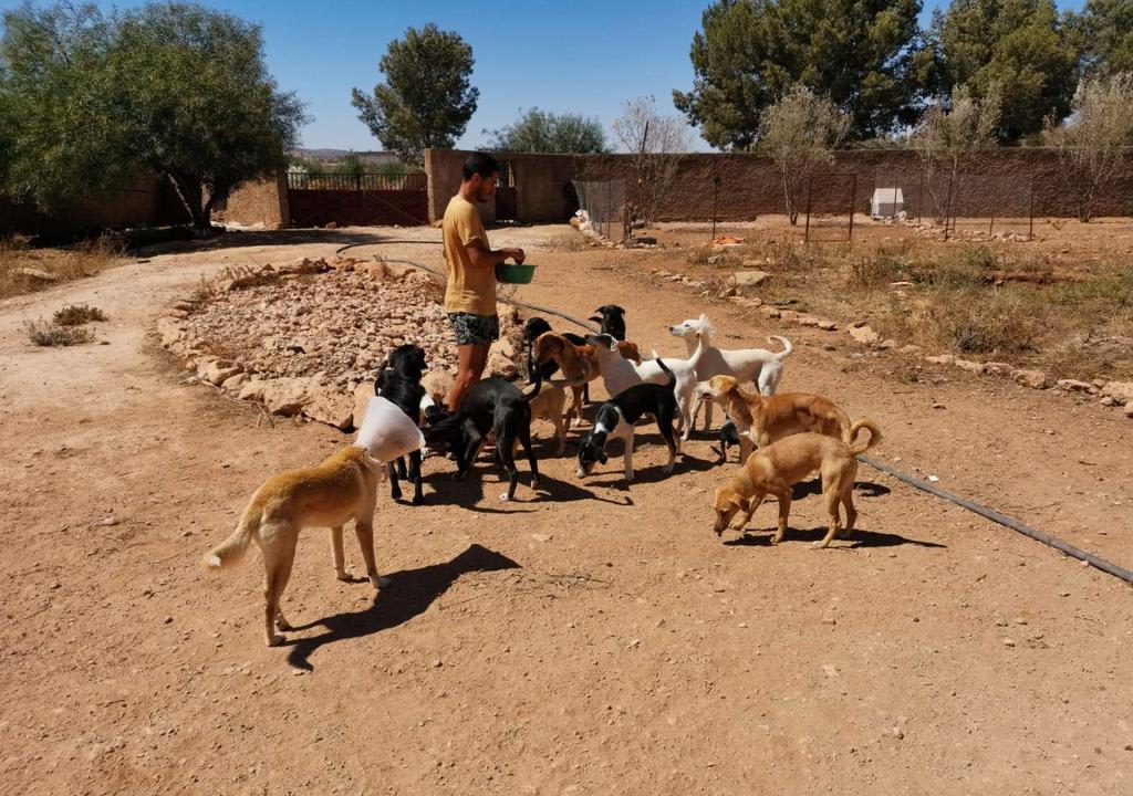 trabajos voluntarios en el extranjero