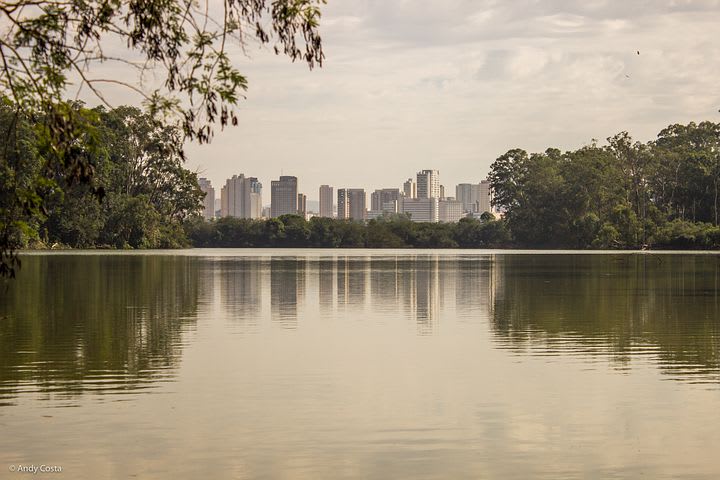 Cosas que hacer en Sao Paulo: trucos paulistas - Worldpackers - parque ibirapuera en sao paulo 