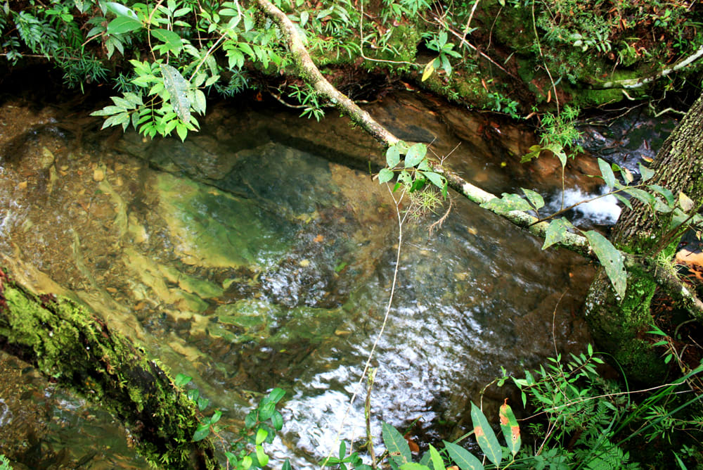 As melhores trilhas de Trekking em Rancho Alegre, São Paulo