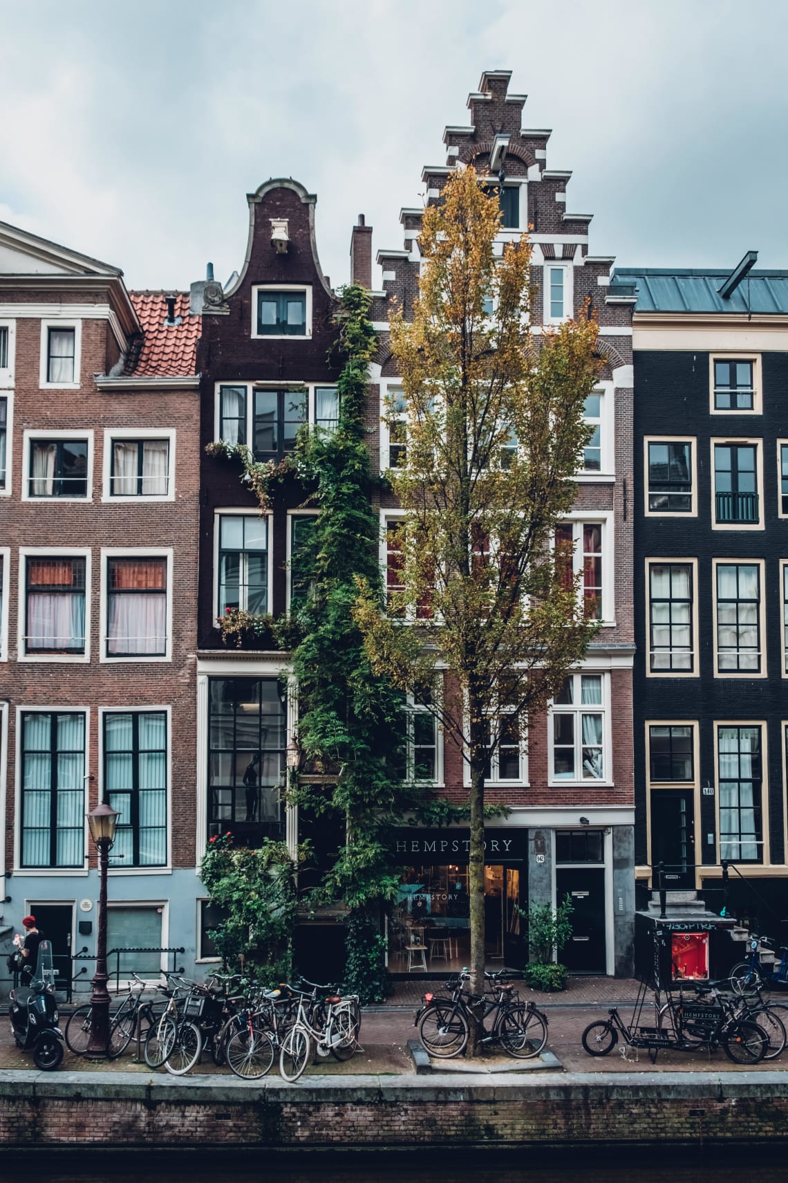 Top things to do in Amsterdam