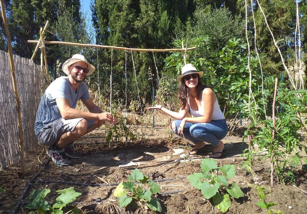voluntariado en España 