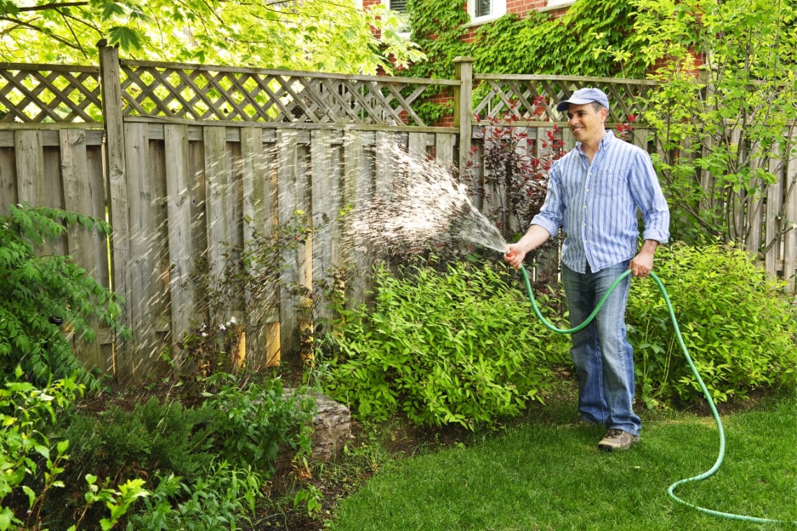 Young man watering the garden in a house sitting job