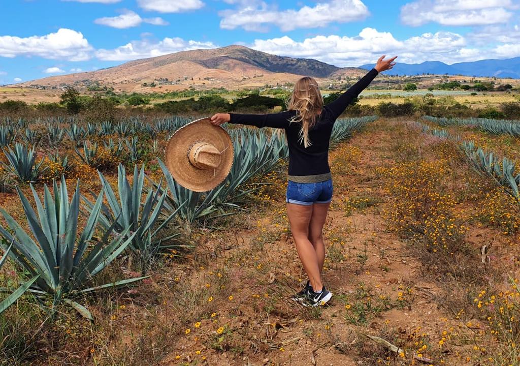 Voluntaria en plantación de agave en México