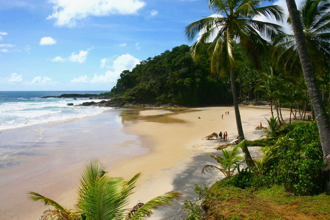 Playa de Itacaré con palmeras y arena dorada