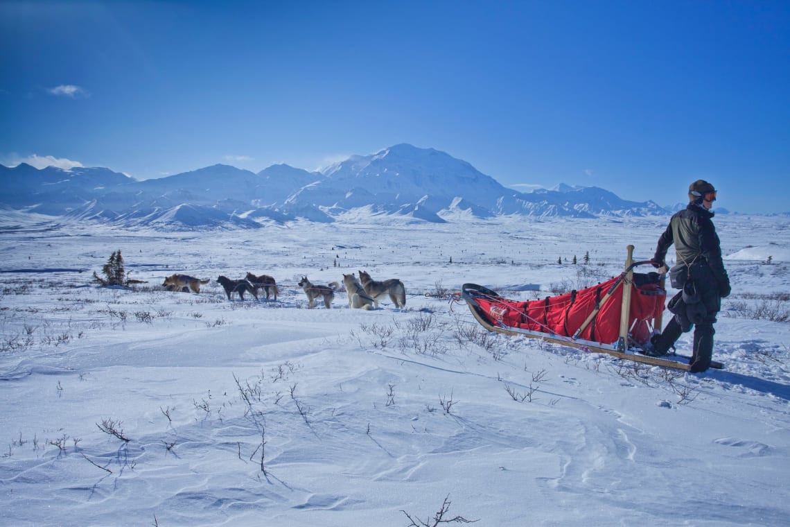 dog sledding