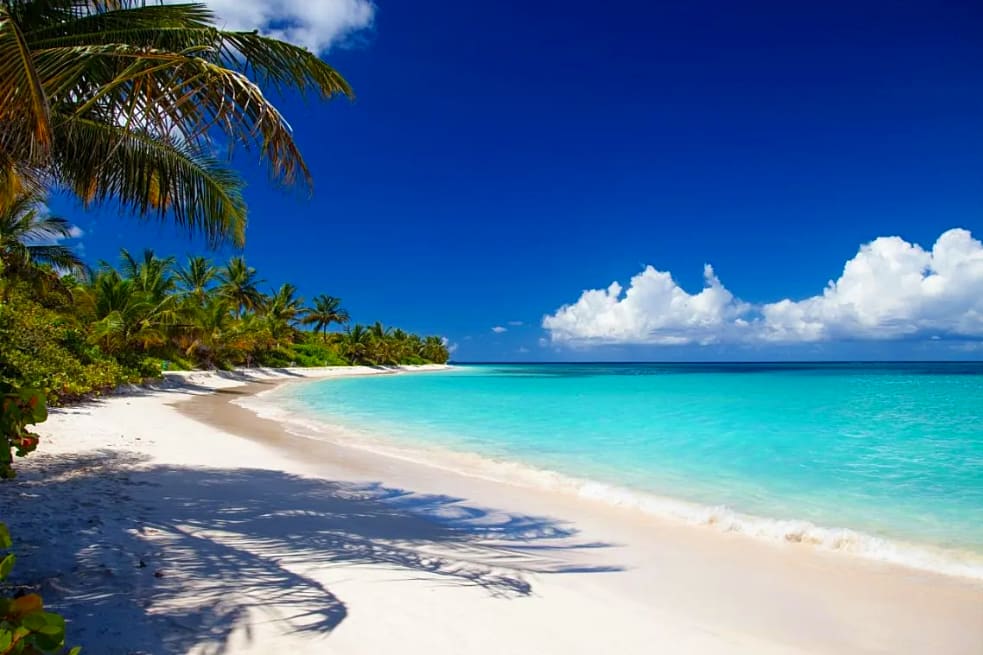 Beautiful beach with palm trees in Puerto Rico