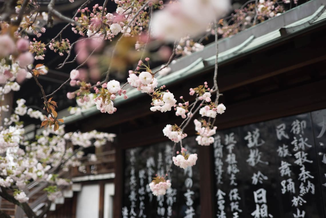 Osaka, Japan