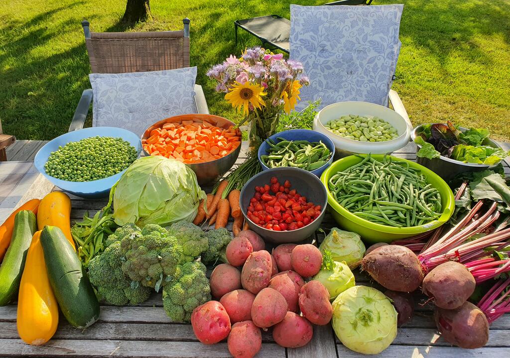 vegetables grown in a self sustaining farm