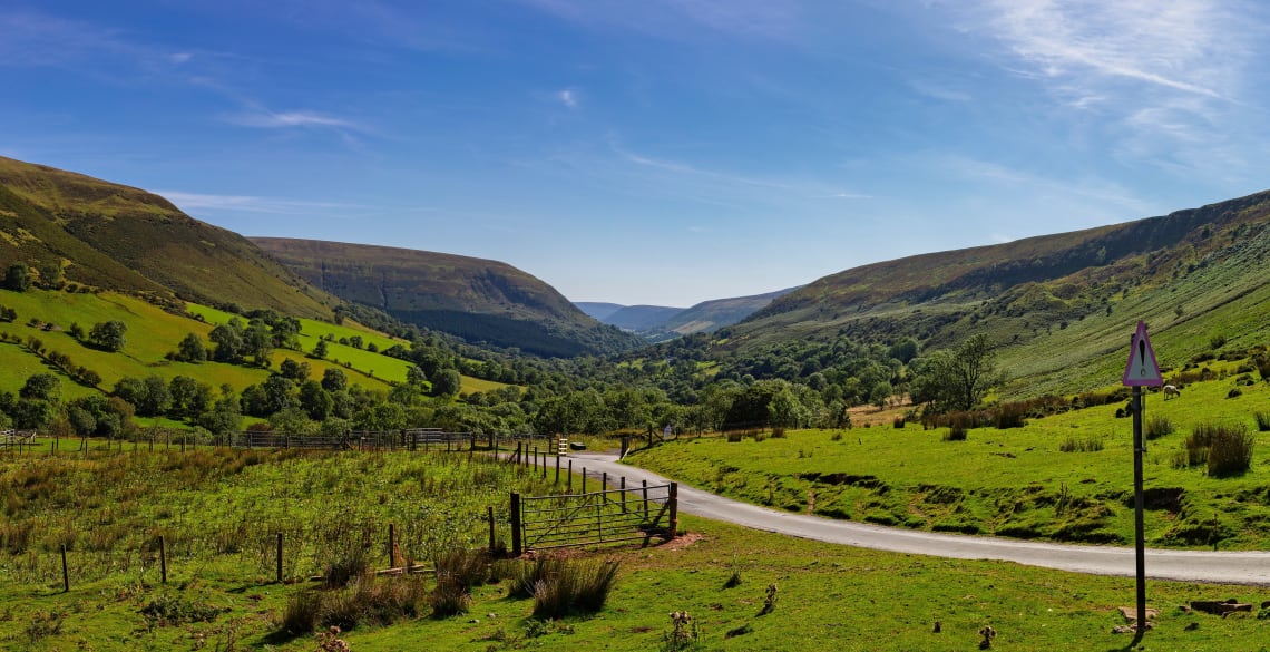 Farm volunteer opportunity in Wales