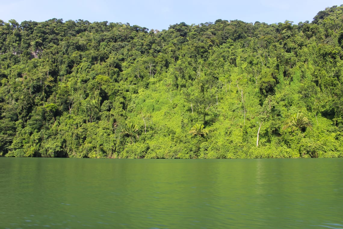 Fun things to do in Guatemala: explore the wilderness near Rio Dulce