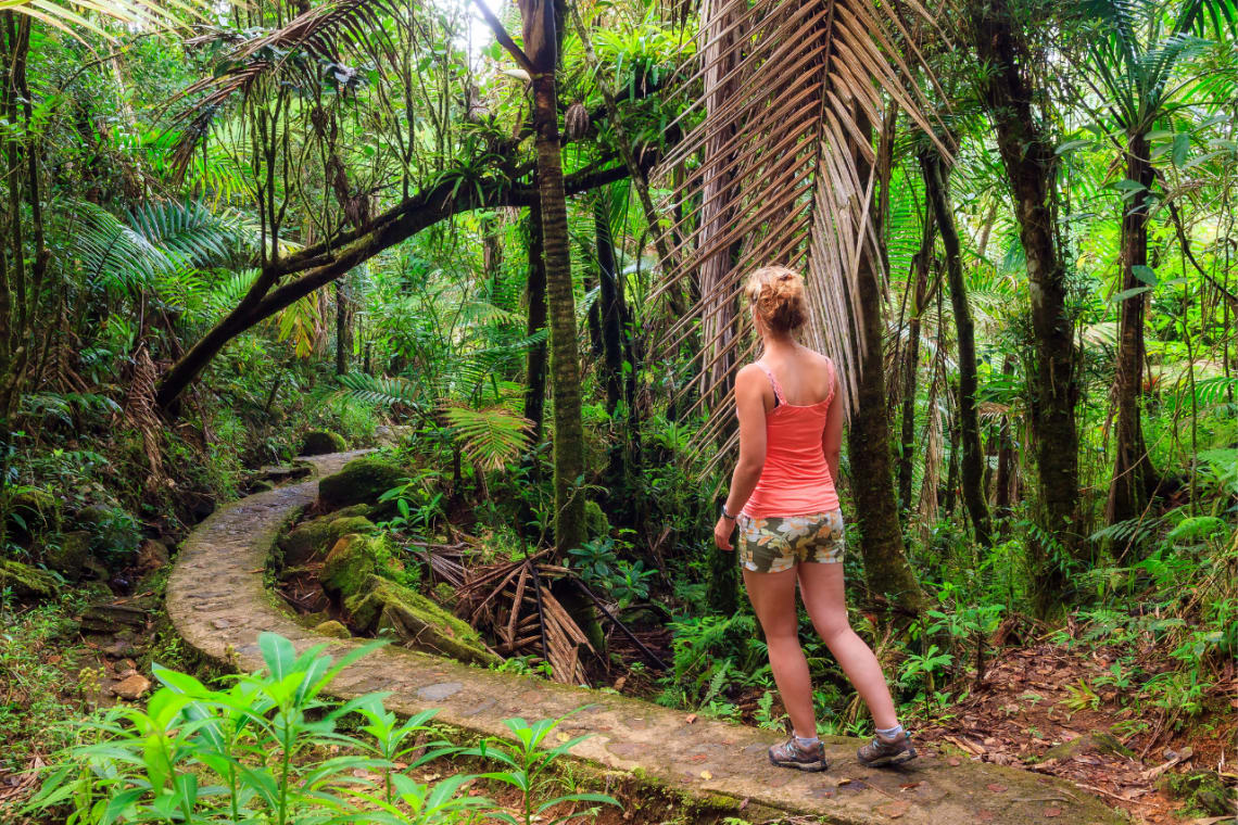 hikes are a great free activity to do in the caribbean