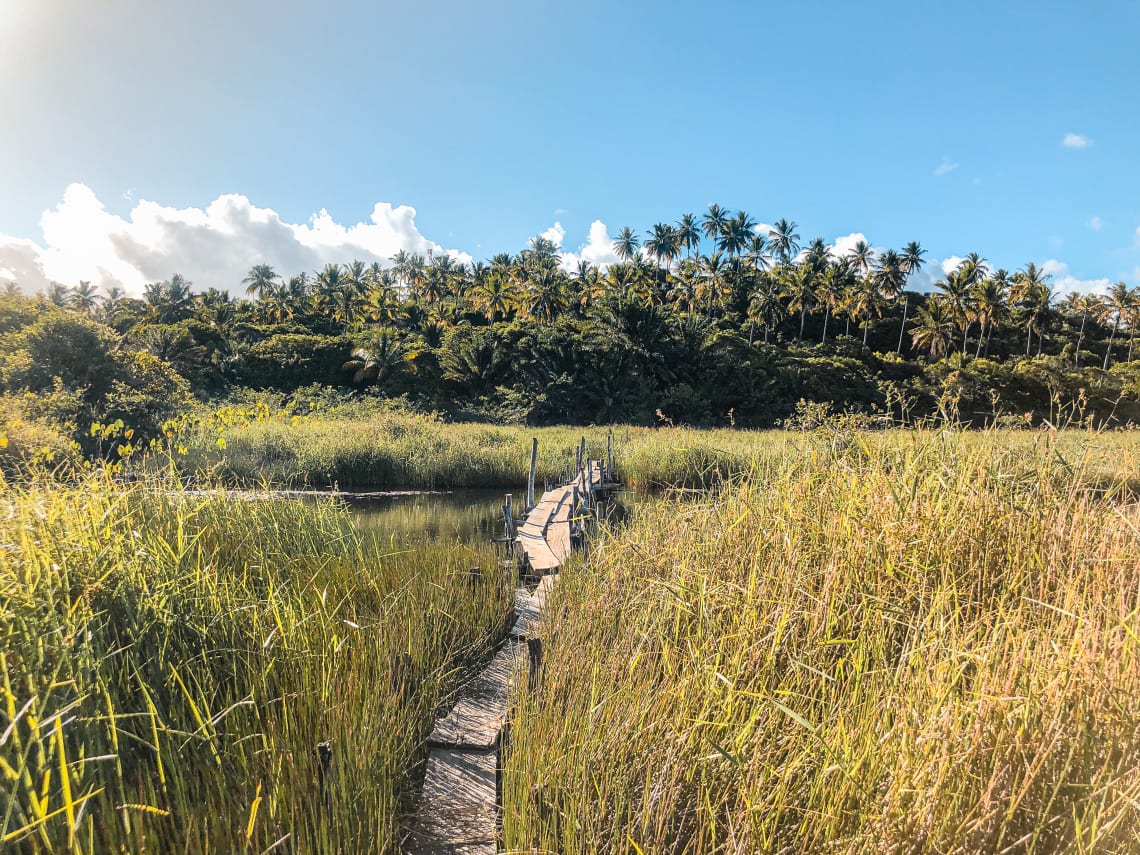 Ponte de tábuas que liga o vilarejo de Diogo a trilha do Cajueiro. Uma das trilhas de acesso ao campo de dunas que leva a Praia de Santo Antônio – Foto: Gretel Devill