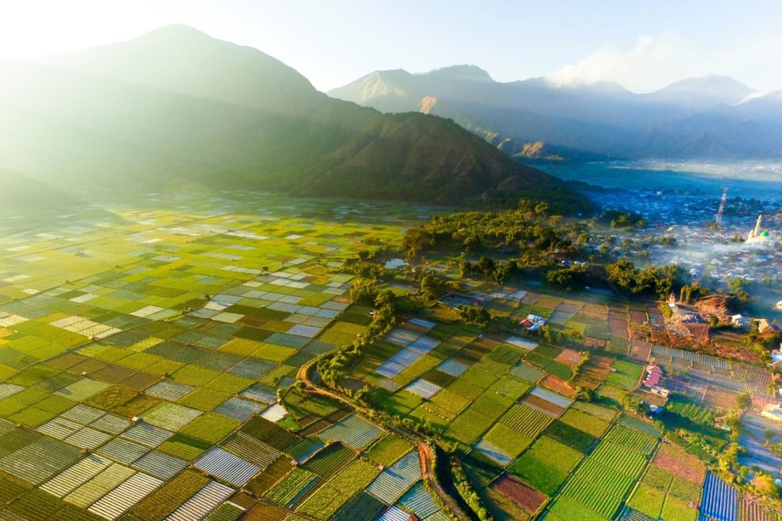 Vista desde lo alto de campos sembrados entre montañas en Lombok