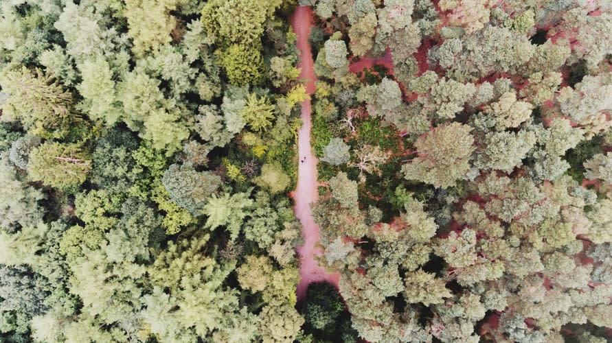 que hacer en leticia amazonas