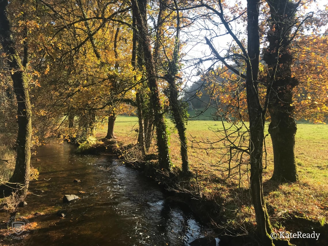 Melrand Forest, France