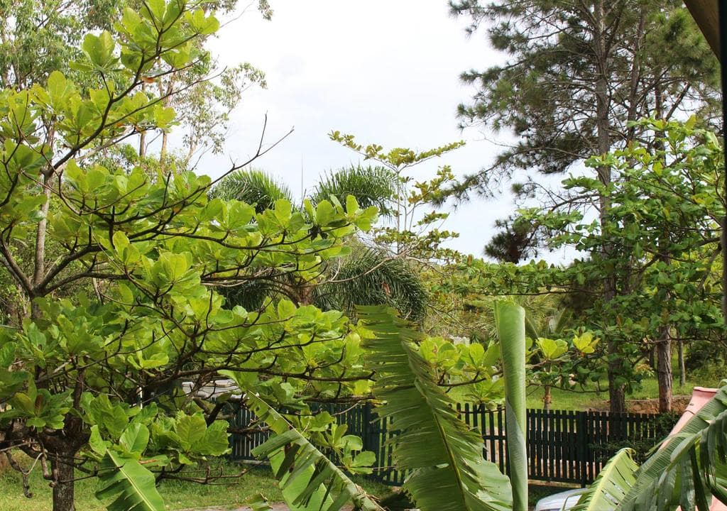  Mejores Anfitriones floripa 