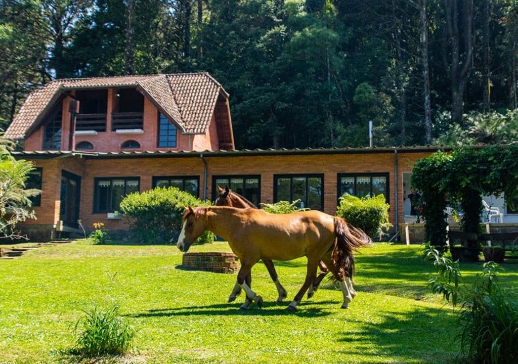 Schmitt Haus, Brazil