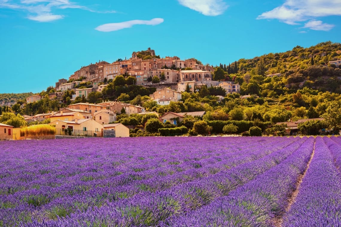Campos de lavanda en Provenza y pueblo en una colina