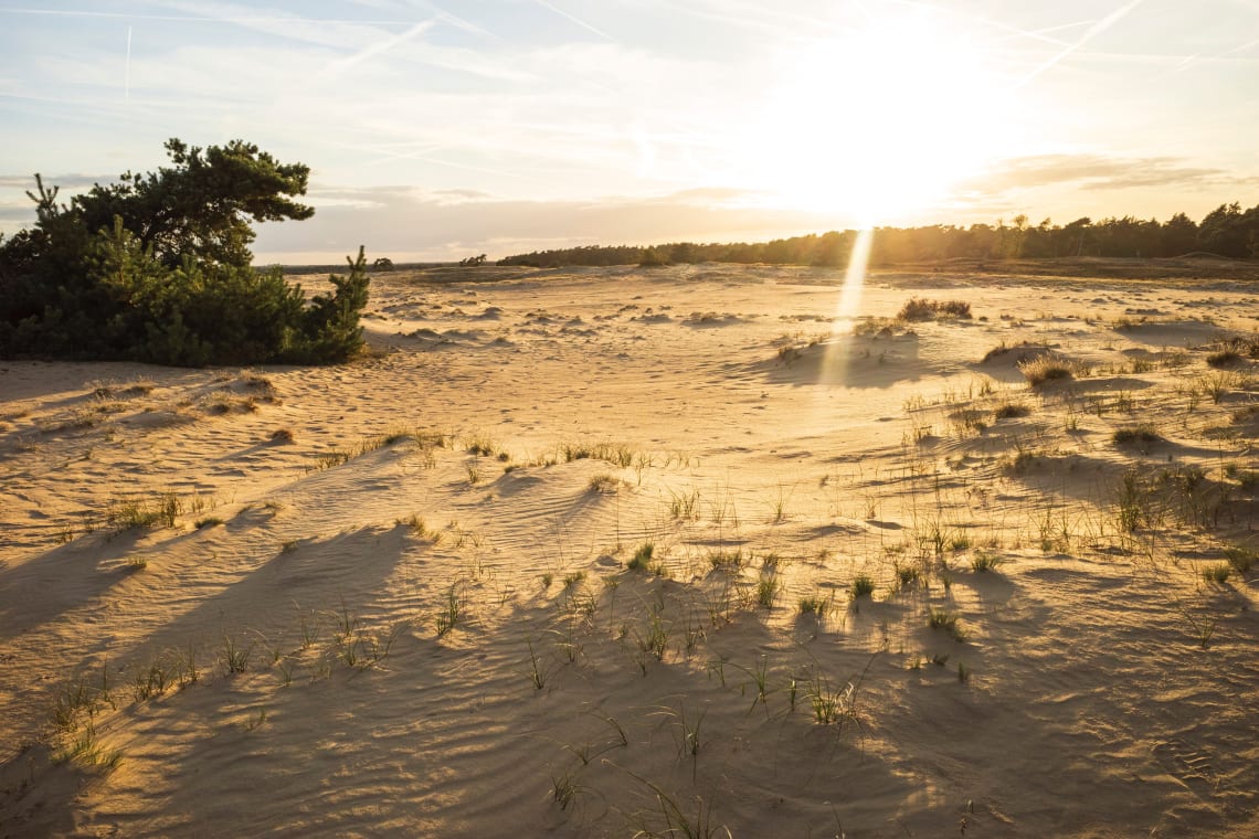 Hoge Veluwe National Park, Netherlands