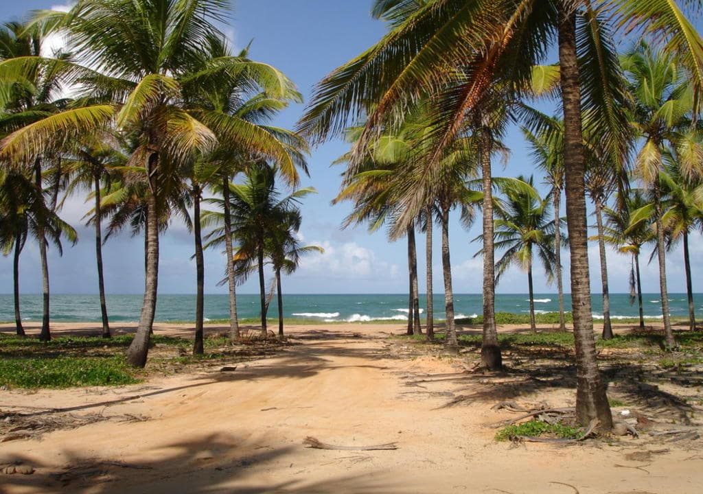  Mejores Anfitriones recife 