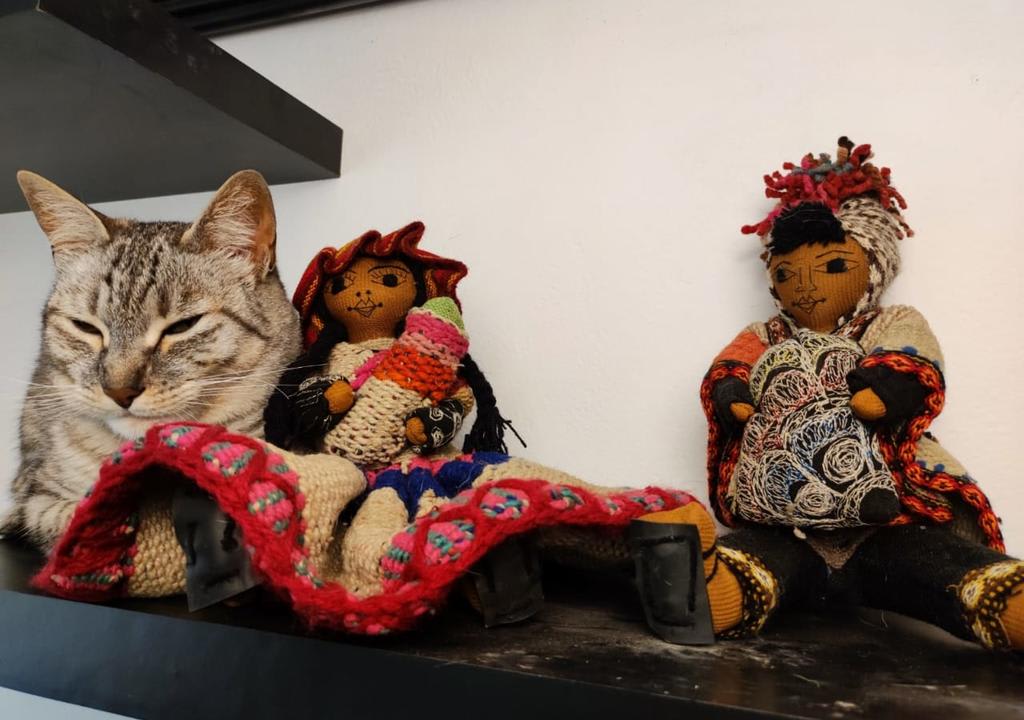 Gato acostado en estante con dos muñecas tradicionales peruanas