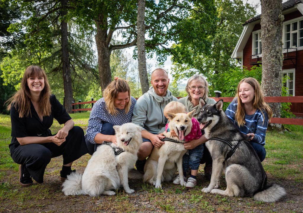 Volunteering with animals in Sweden