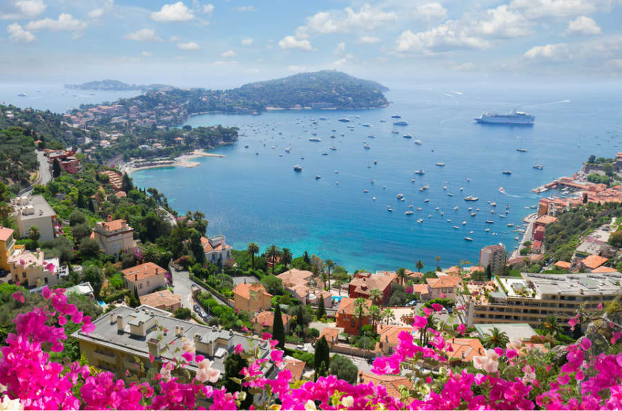 Bougainvillea above a bay on the French Riviera
