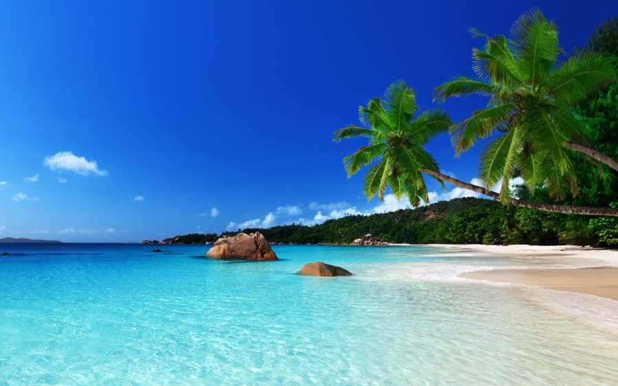Palm trees over a turquoise beach in the Andaman Islands