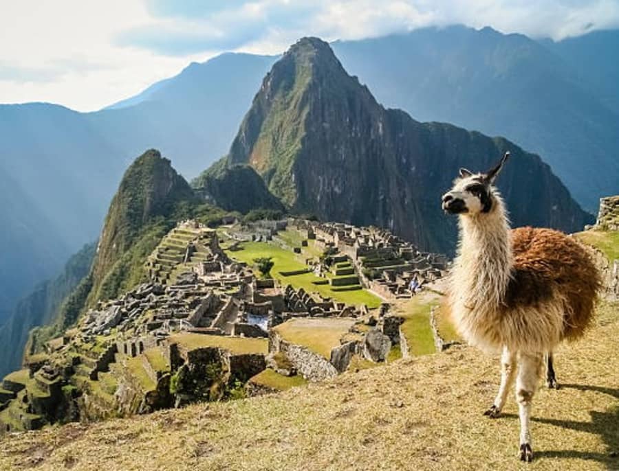 Machu Picchu with a llama in the foreground, Peru