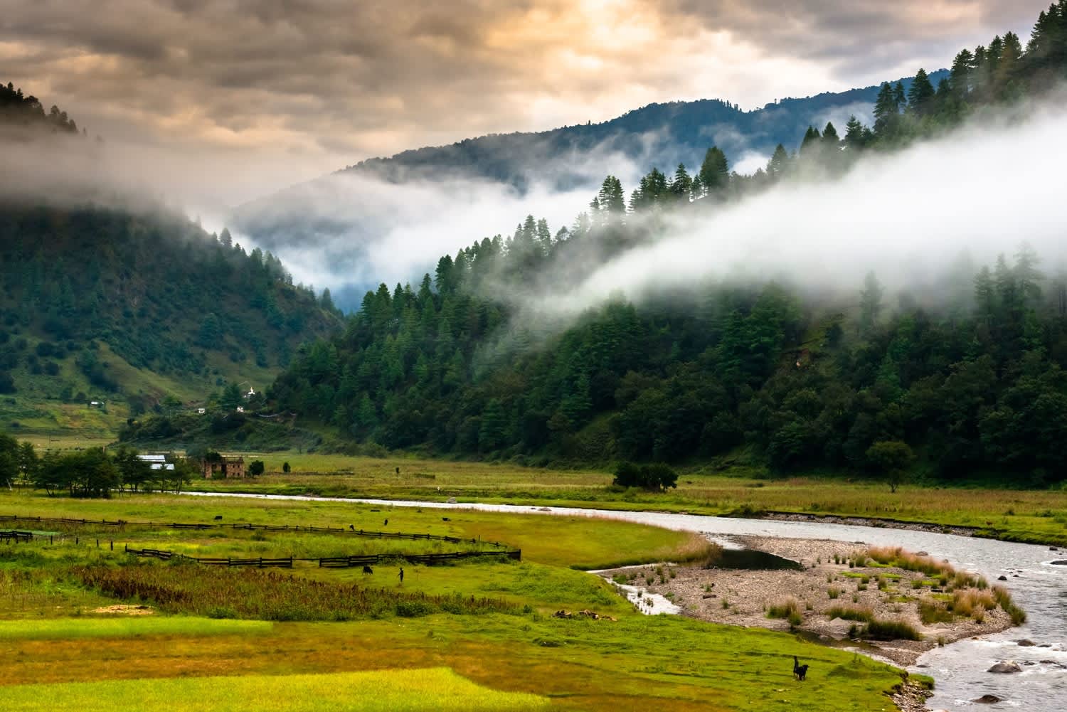Arunachal on Wheels | Women only Travel Groups | WOW Club