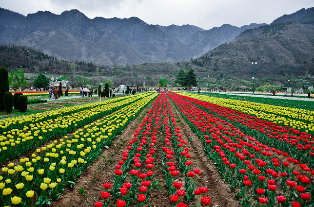 Kashmir valley