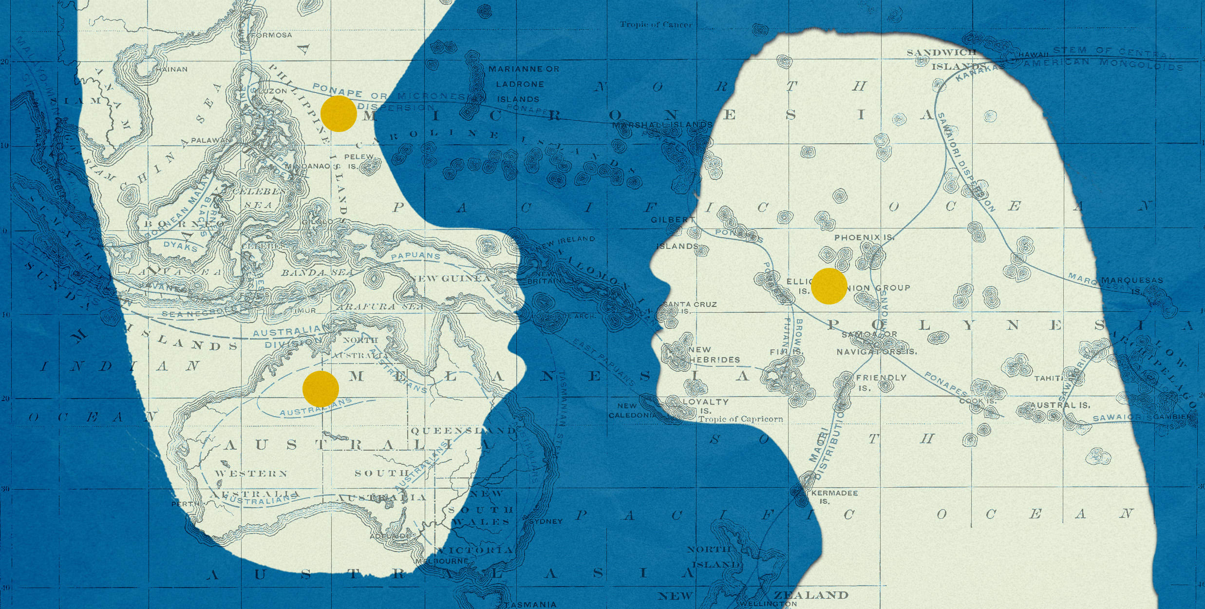 Aapi World Map How Pacific Islanders Get Lost Under the AAPI Umbrella