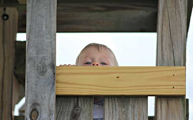 Little boy peek a boo